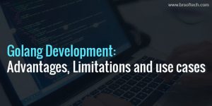 Golang Development: Advantages, Limitations and use cases