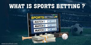 How to Choose Best Sports Betting App Development Company- BR Softech