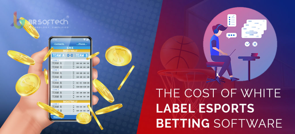 A Complete Guide: White Label Esports Betting Software Development