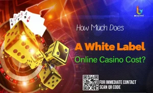 Does-A-White-Label-Online-Casino-Cost