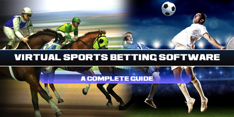 Virtual Sports Betting Software- A Complete Guide